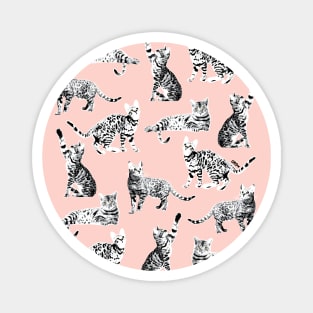 Bengal Kittens Grey Seamless Pattern Magnet